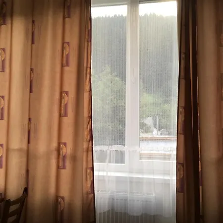 In Karpaty Aparthotel *