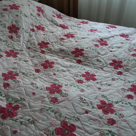 Aparthotel In Karpaty Mizhhirya (Transcarpathia)