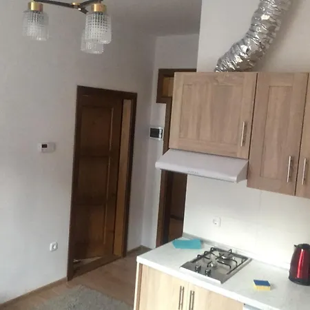 In Karpaty Aparthotel Mizhhirya (Transcarpathia)